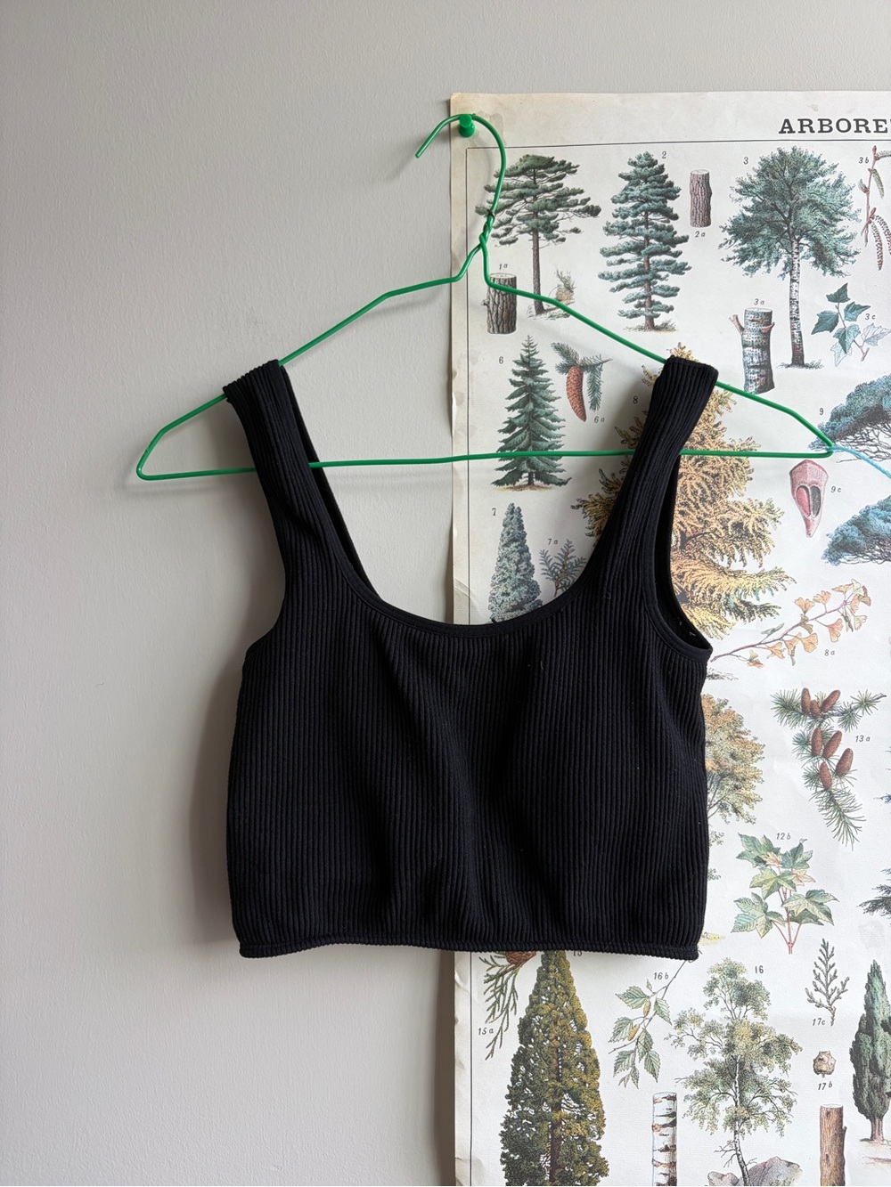 Forever 21 Black Ribbed Padded Tank Crop Top small